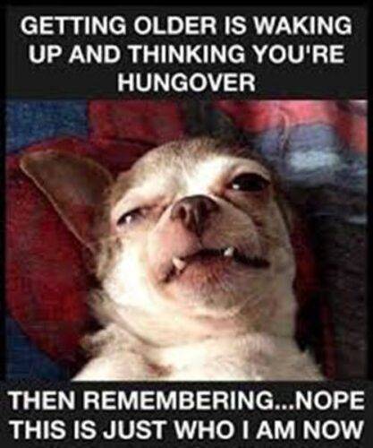 490544906 9992212170803217 2889259428149839555 n