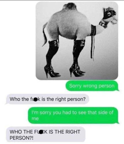 491315011 563291410132921 173049408551494553 n