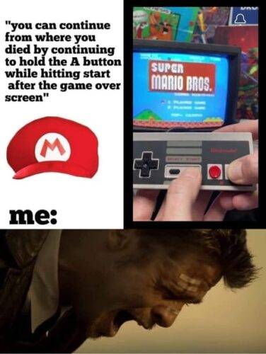 493325202 1275299057936444 2079261407661473970 n