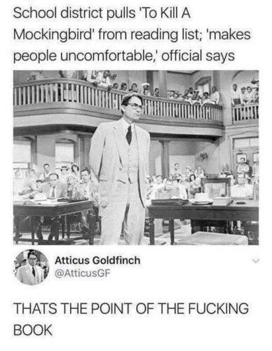 494738509 1257164379412569 3520284768400864194 n