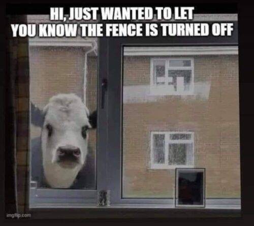 497125762 122194146722100104 8145574476544936624 n