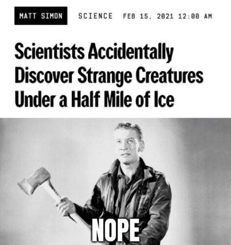 502579636 10057404667708671 9067840373665275601 n