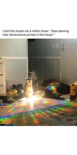 504213221 1141838061318439 4476525665046285328 n