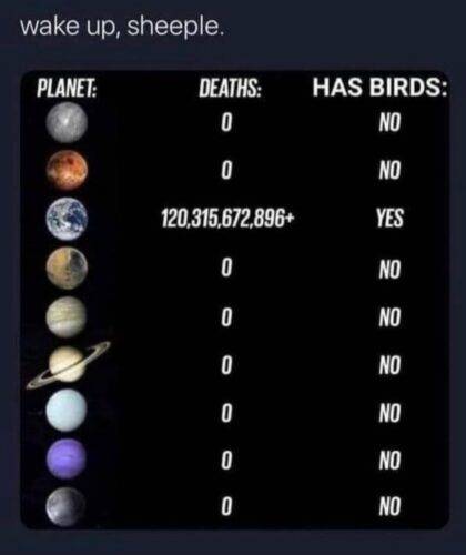 506604074 1266476171778106 2933048141648877809 n