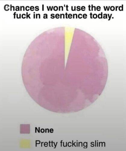 506638591 1044928954396027 7859010604064901012 n