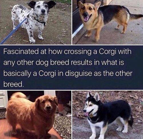 506809411 1110490387770267 626889061717281127 n