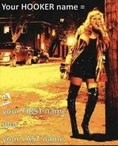 508976920 10161683878031270 7759524196932755264 n