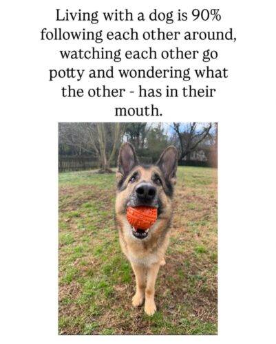 510402491 18155716249370141 3035743206019530242 n