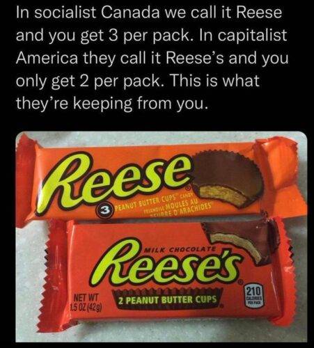 511620066 1293549915774015 8956231071880102828 n