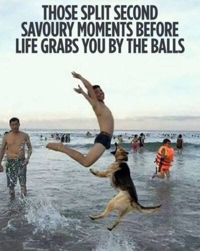 513762398 10163609922126882 6254888422137592877 n