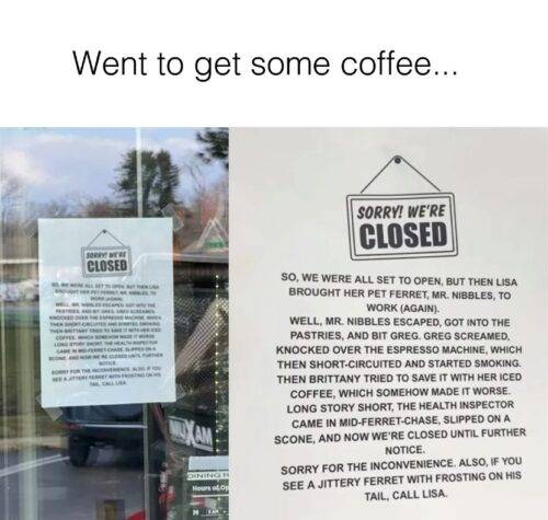 514091411 1155761853246528 9157844622982110697 n