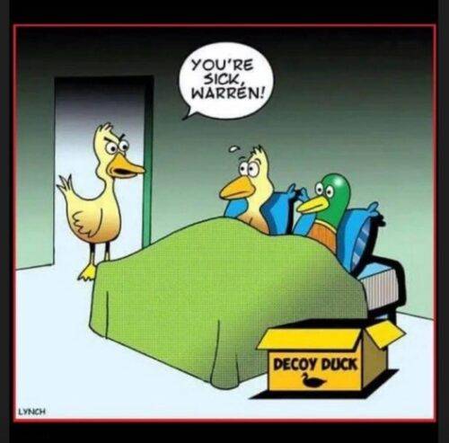 514357929 1349100546575418 8980849462685369112 n