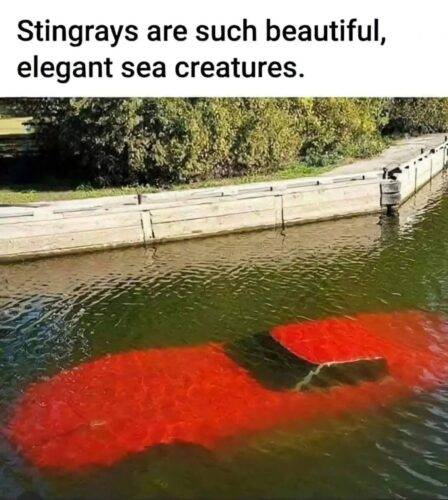 514404058 1569310444441402 545034759465741333 n