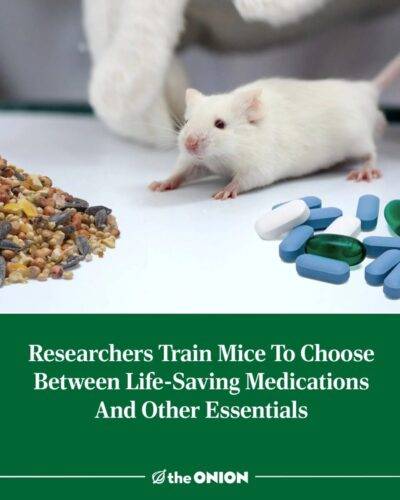 514690373 1140108218147153 5844733770648589416 n