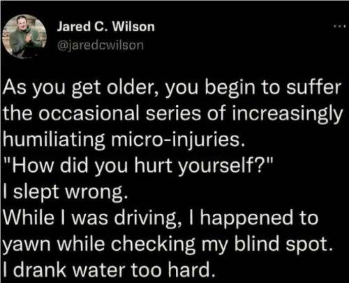 515542360 1302316811563992 995662305681702017 n