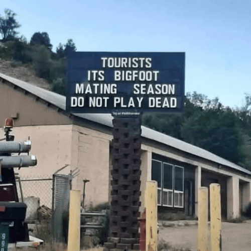 515789212 24131460146519254 3270375068560205328 n