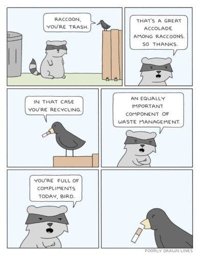 515902759 1294804075338224 6507284837072052665 n