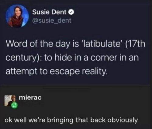 516014764 1303863901409283 3322052620271157766 n