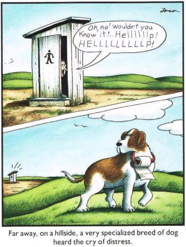 516526026 122237141492187219 4837077809239414742 n