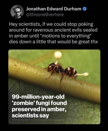 518276144 758236313242154 3708072490925047859 n