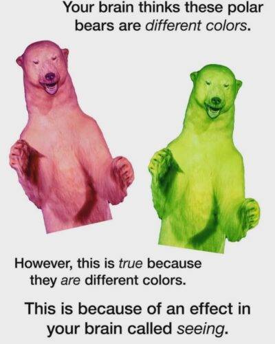 518369942 1201250202040705 2629691526665816936 n