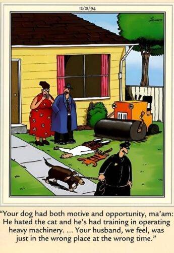 518386789 122238212816187219 5702305501246565008 n