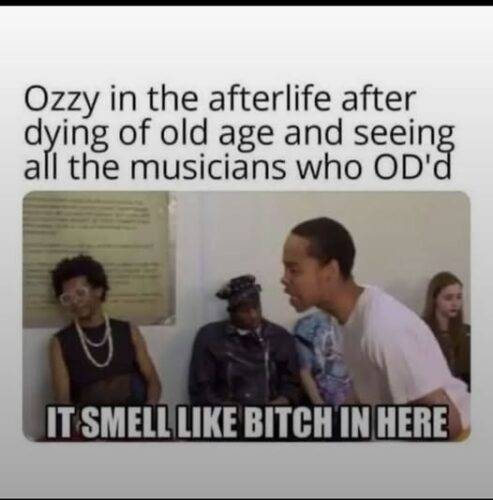 519933999 1345951914200834 4934648014788095031 n