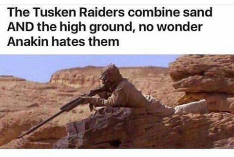 521003905 1173036031522036 5039654006990286420 n