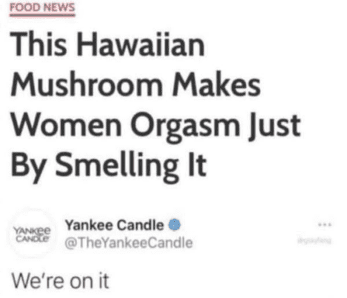 521679348 31006967492228034 8634044003790909222 n