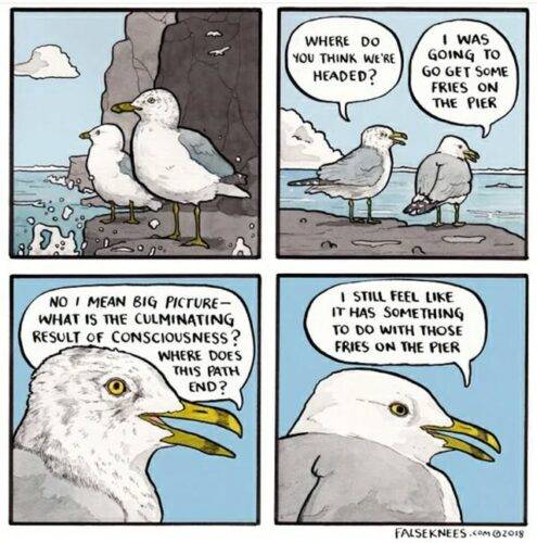 524307180 797475682671322 527811424042913736 n