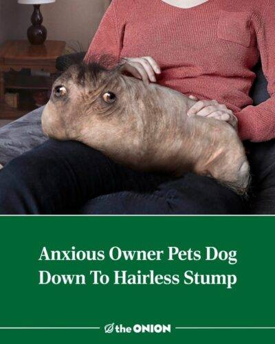 524739088 1160124719478836 1394646022407142272 n