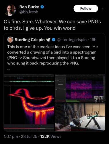 524840117 1206375881532793 2291573579091911096 n