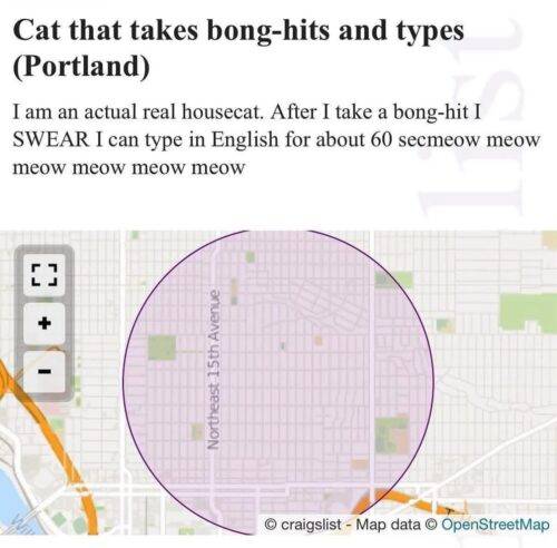 524990324 1205706984933016 2455004013081907924 n