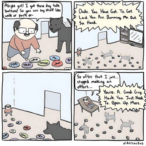 525308773 122208806834248676 3873844344122546581 n