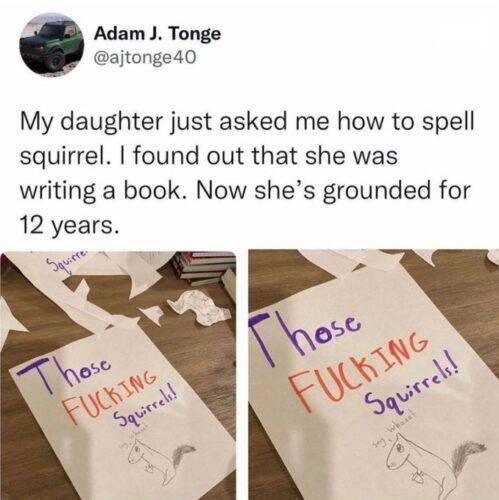 525464423 1322996422829364 2952940581880253878 n