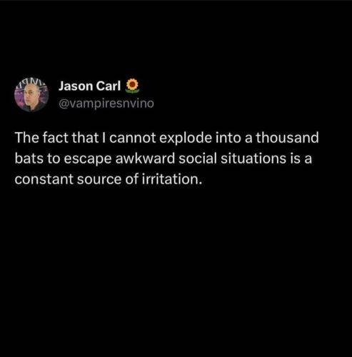 525582965 18285447178261452 4338553057806950192 n