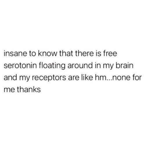 526035918 2532205063821470 194743955000748509 n