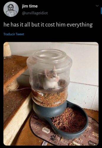 527593881 615838821573138 7064108496421110265 n