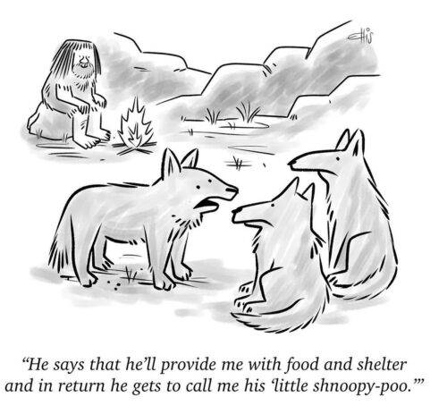 540730454 18523753600014109 3198406584454916324 n