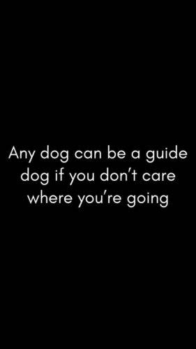 541249436 1074896388112253 8025131872291292188 n