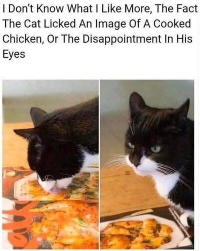 547212683 10241063189536466 864654777931904344 n