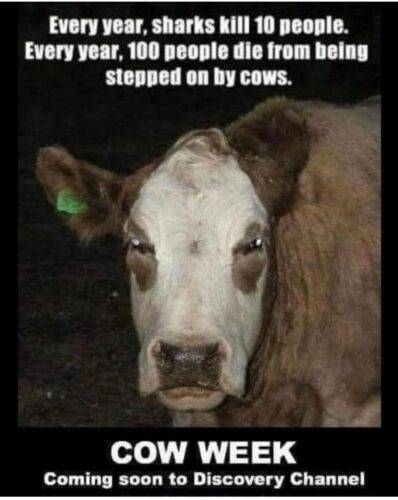 554094200 10230794102218183 4211717268479635503 n