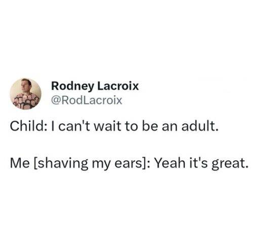 561177754 864647415954148 4929703232042872498 n