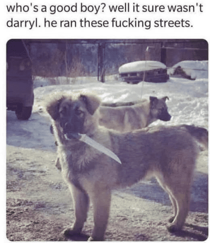 561375101 32339048472353256 1213527663119268922 n