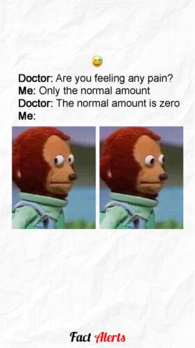 563447782 1124293723166252 611929826530623028 n