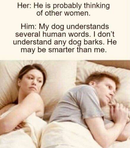 565665298 826877369689809 592123097428662030 n