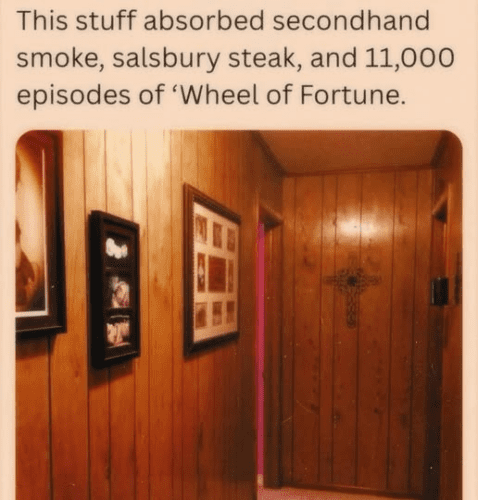 565697284 1387588719394611 5880173654675942620 n