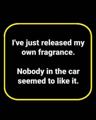 565748196 1378914514238446 8275103341254802525 n
