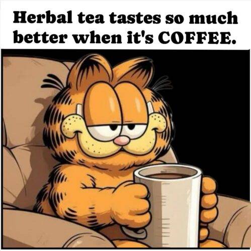 568690112 668351416348070 4276989187741967528 n