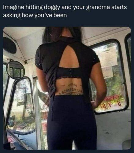 577376734 26063311126590114 424856539564442731 n